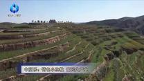 农村大市场 (2025-08-17)