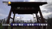 今日点击 (2025-08-19)