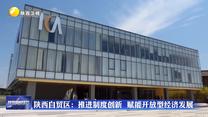 【在习近平新时代中国特色社会主义思想指引下】陕西自贸区：推进制度创新  赋能开放型经济发展