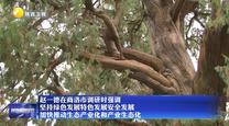【在习近平新时代中国特色社会主义思想指引下】赵一德在商洛市调研时强调 坚持绿色发展特色发展安全发展 加快推动生态产业化和产业生态化