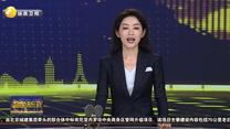 2025丝绸之路万里行—丝路文化经贸交流会匈牙利专场活动举行
