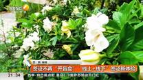 都市快报(2025-08-20)