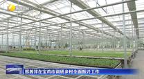 邢善萍在宝鸡市调研乡村全面振兴工作