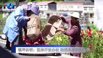 农村大市场 (2025-08-22)