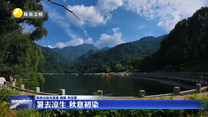 【大美陕西新画卷】暑去凉生 秋意初染