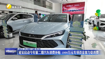 延安启动今年第二期汽车消费补贴 1000万元专项资金加力促销费