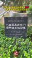 从这里，八路军东渡黄河出师抗日