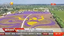 都市热线 (2025-08-26)