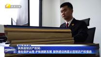 陕西省知识产权局：强化保护运用 护航创新发展 加快建设西部示范知识产权强省