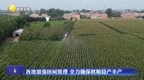各地加强田间管理 全力确保秋粮稳产丰产
