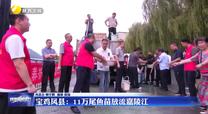 宝鸡凤县：11万尾鱼苗放流嘉陵江