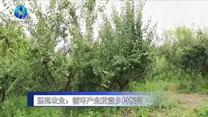 农村大市场(2025-08-28)