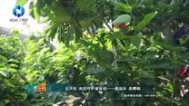 中国农资秀 (2025-08-29)