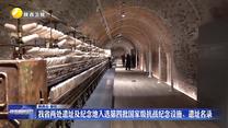 我省两处遗址及纪念地入选第四批国家级抗战纪念设施、遗址名录