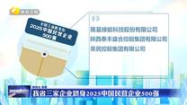 我省三家企业跻身2025中国民营企业500强