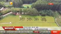 都市热线 (2025-08-31)