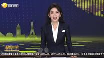 中國（陜西）國際貿(mào)易“單一窗口”寶雞服務中心成立