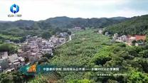 中国农资秀(2025-09-02)