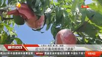 都市热线 (2025-09-04)