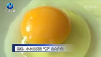 农村大市场(2025-09-03)