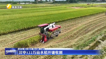 汉中122万亩水稻开镰收割