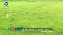 中国农资秀(2025-09-04)