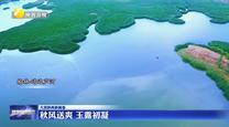 【大美陕西新画卷】秋风送爽 玉露初凝