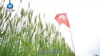 中国农资秀 (2025-09-08)