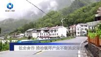 农村大市场(2025-09-10)