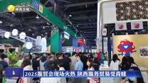 2025服贸会现场火热 陕西服务贸易受青睐