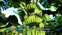 中国农资秀 (2025-09-12)