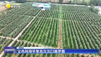 【三秦縱覽】寶雞鳳翔蘋果首次出口俄羅斯