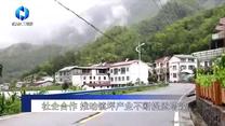 农村大市场 (2025-09-13)