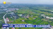 汉中：抢抓水稻收割“黄金窗口” 多方联动减损保粮