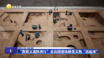 【2025年世界互联网大会文化遗产数字化论坛】“数智文遗陕西行”采访团现场感受文物“活起来”