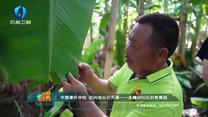 中国农资秀 (2025-09-19)