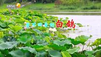 百家碎戏（2025-09-21）