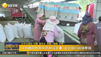 汉中略阳优质中药材淫羊藿 走出国门远销泰国