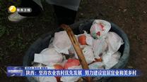 【在习近平新时代中国特色社会主义思想指引下】陕西：坚持农业农村优先发展 努力建设宜居宜业和美乡村