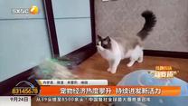 都市快报(2025-09-24)
