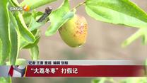 晚间新闻站(2025-09-24)
