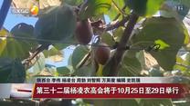 晚间新闻站(2025-09-25)