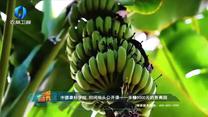中国农资秀 (2025-09-26)