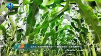 中国农资秀(2025-09-27)