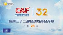 距第三十二届杨凌农高会开幕还有28天