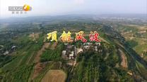 百家碎戏(2025-09-29)