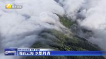 【大美陕西新画卷】雨后云海 水墨丹青