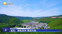 【在希望的田野上】延安：南鱼北养 喜迎丰收