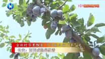 农村大市场 (2025-10-04)