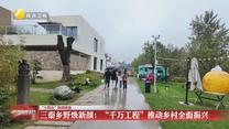 【在习近平新时代中国特色社会主义思想指引下】【“十四五”陕西答卷】三秦乡野焕新颜：“千万工程”推动乡村全面振兴